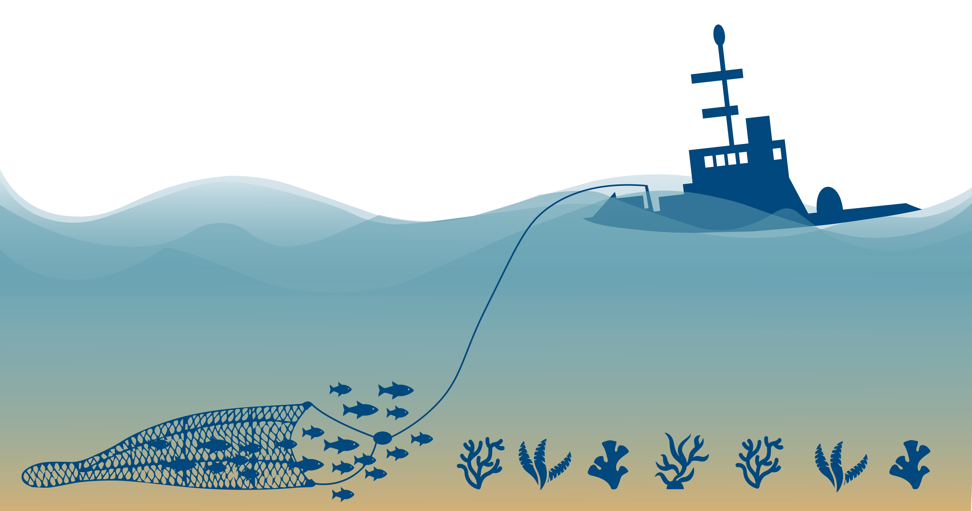 midwater trawling