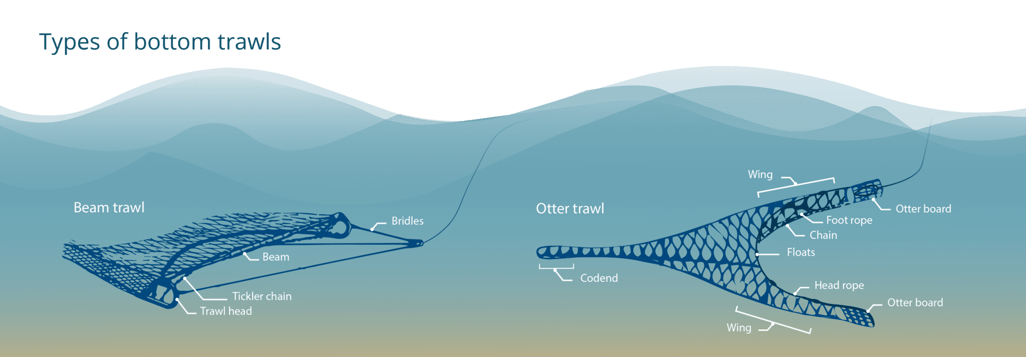 FAQs Transform Bottom Trawling